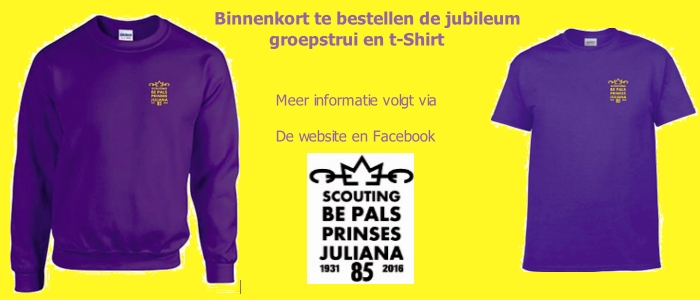 truien en t shirt